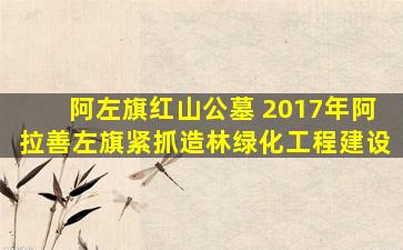 阿左旗红山公墓 2017年阿拉善左旗紧抓造林绿化工程建设